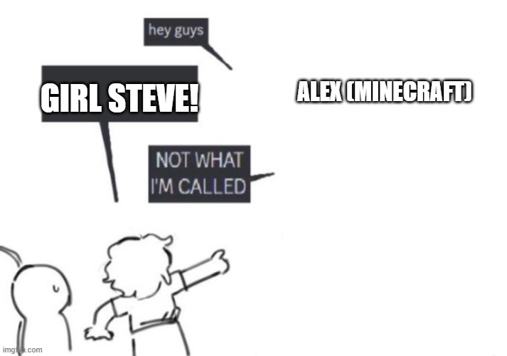 Hey Guys - NOT WHAT I'M CALLED | GIRL STEVE! ALEX (MINECRAFT) | image tagged in hey guys - not what i'm called,minecraft,minecraft steve | made w/ Imgflip meme maker