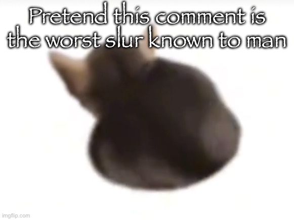 Twerking el gatito | Pretend this comment is the worst slur known to man | image tagged in twerking el gatito | made w/ Imgflip meme maker