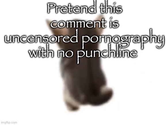 El gatito | Pretend this comment is uncensored pornography with no punchline | image tagged in el gatito | made w/ Imgflip meme maker