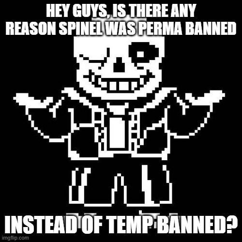 Just asking, please don't take my owner. | HEY GUYS, IS THERE ANY REASON SPINEL WAS PERMA BANNED; INSTEAD OF TEMP BANNED? | image tagged in sans undertale | made w/ Imgflip meme maker