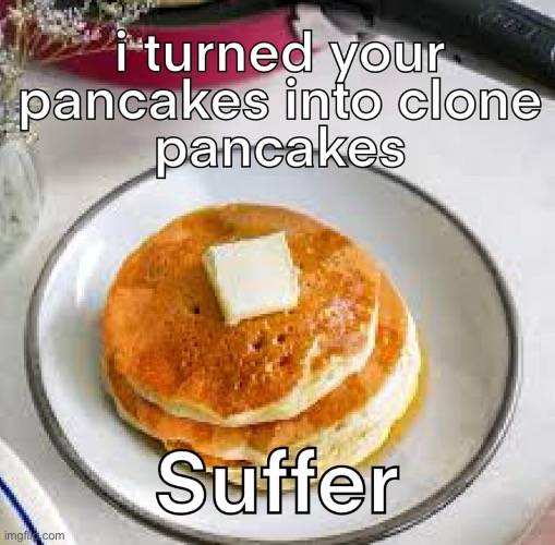 Your pancakes got cloned idiot | made w/ Imgflip meme maker
