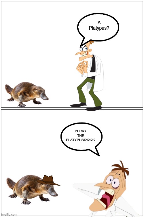 Blank Comic Panel 1x2 Meme | A Platypus? PERRY THE PLATYPUS!?!?!?!? | image tagged in memes,blank comic panel 1x2 | made w/ Imgflip meme maker