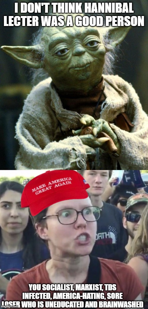Why is this so true | I DON'T THINK HANNIBAL LECTER WAS A GOOD PERSON; YOU SOCIALIST, MARXIST, TDS INFECTED, AMERICA-HATING, SORE LOSER WHO IS UNEDUCATED AND BRAINWASHED | image tagged in memes,star wars yoda,maga loser | made w/ Imgflip meme maker