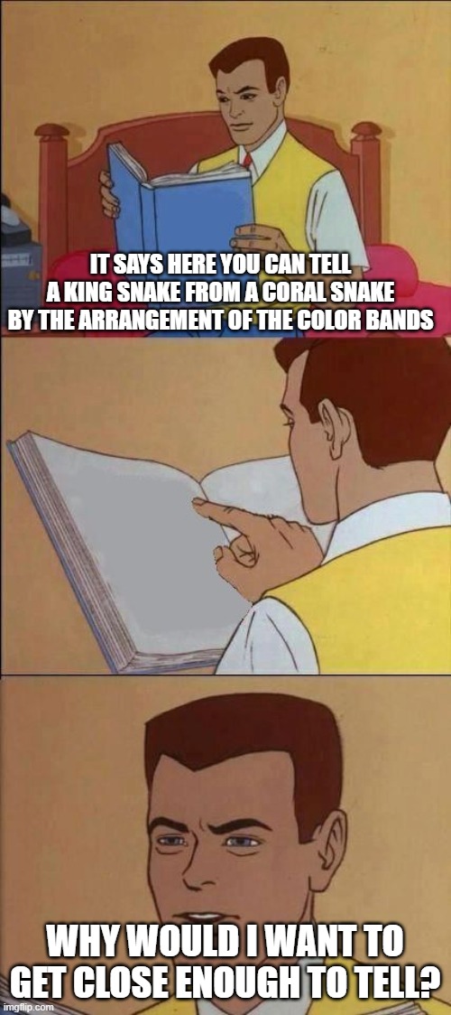 Book of Idiots | IT SAYS HERE YOU CAN TELL A KING SNAKE FROM A CORAL SNAKE BY THE ARRANGEMENT OF THE COLOR BANDS WHY WOULD I WANT TO GET CLOSE ENOUGH TO TELL | image tagged in book of idiots | made w/ Imgflip meme maker