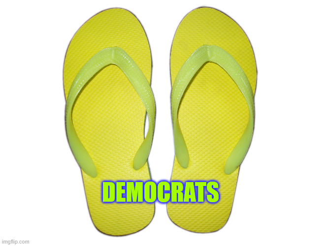 Flip Flops | DEMOCRATS | image tagged in flip flops | made w/ Imgflip meme maker