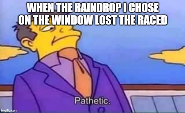 skinner pathetic | WHEN THE RAINDROP I CHOSE ON THE WINDOW LOST THE RACED | image tagged in skinner pathetic | made w/ Imgflip meme maker