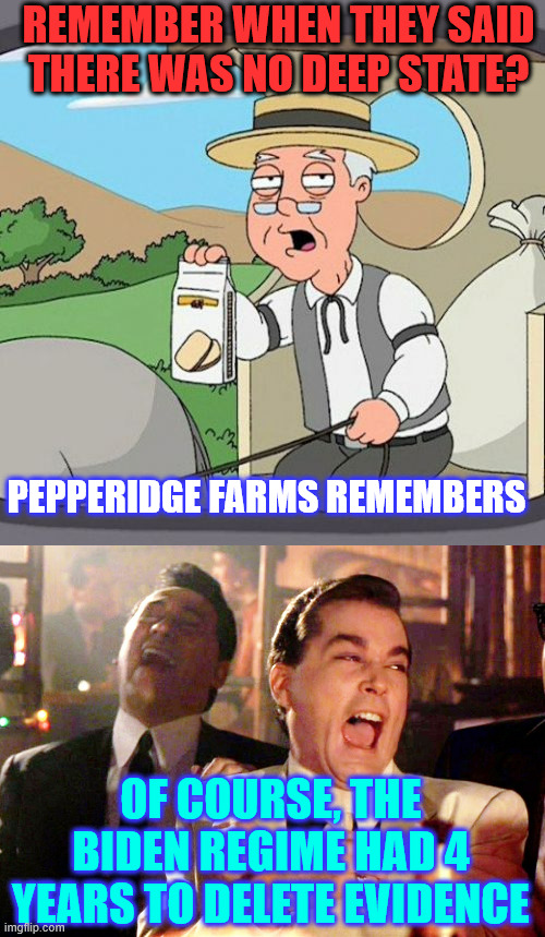 REMEMBER WHEN THEY SAID THERE WAS NO DEEP STATE? PEPPERIDGE FARMS REMEMBERS OF COURSE, THE BIDEN REGIME HAD 4 YEARS TO DELETE EVIDENCE | image tagged in memes,pepperidge farm remembers,good fellas hilarious | made w/ Imgflip meme maker