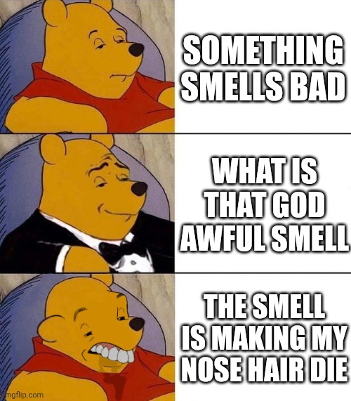 Best,Better, Blurst | SOMETHING SMELLS BAD; WHAT IS THAT GOD AWFUL SMELL; THE SMELL IS MAKING MY NOSE HAIR DIE | image tagged in best better blurst | made w/ Imgflip meme maker