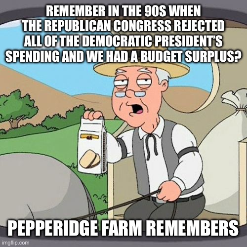 Good Times | REMEMBER IN THE 90S WHEN THE REPUBLICAN CONGRESS REJECTED ALL OF THE DEMOCRATIC PRESIDENT’S SPENDING AND WE HAD A BUDGET SURPLUS? PEPPERIDGE FARM REMEMBERS | image tagged in memes,pepperidge farm remembers | made w/ Imgflip meme maker