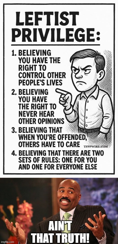 Check your privilege | AIN'T THAT TRUTH! | image tagged in shrug,memes,politics | made w/ Imgflip meme maker