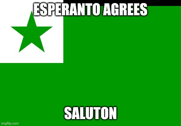 esperanto flag | ESPERANTO AGREES SALUTON | image tagged in esperanto flag | made w/ Imgflip meme maker