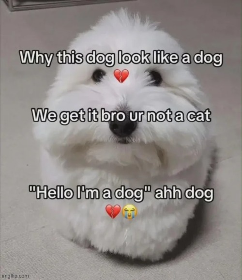 . | made w/ Imgflip meme maker