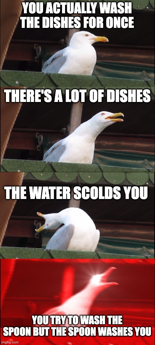 Inhaling Seagull | YOU ACTUALLY WASH THE DISHES FOR ONCE; THERE'S A LOT OF DISHES; THE WATER SCOLDS YOU; YOU TRY TO WASH THE SPOON BUT THE SPOON WASHES YOU | image tagged in memes,inhaling seagull | made w/ Imgflip meme maker
