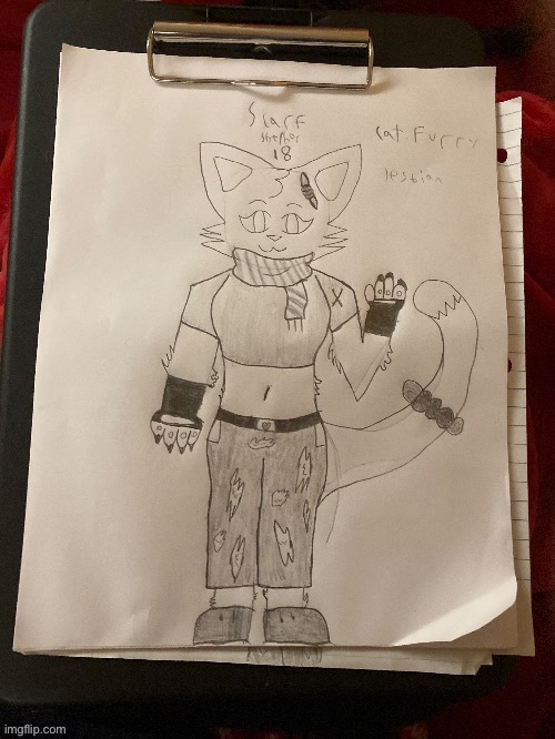 drawing I made of my favorite oc Scarf while I’m at a summer camp :3 | made w/ Imgflip meme maker
