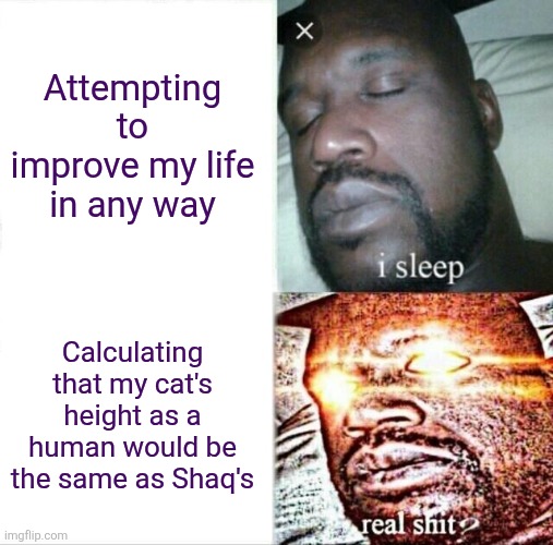 Don't give me a chart of bear species' sizes or I'll lose another 30 minutes | Attempting to improve my life in any way; Calculating that my cat's height as a human would be the same as Shaq's | image tagged in memes,sleeping shaq,depression sadness hurt pain anxiety | made w/ Imgflip meme maker