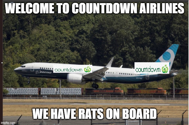 COUNTDOWN AIRLINES | WELCOME TO COUNTDOWN AIRLINES; WE HAVE RATS ON BOARD | image tagged in countdown airlines | made w/ Imgflip meme maker