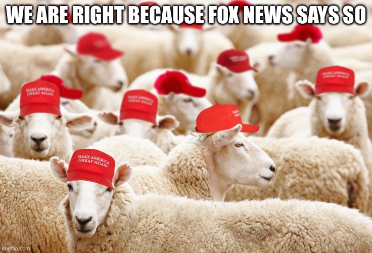 Sheep watch Fox News | WE ARE RIGHT BECAUSE FOX NEWS SAYS SO | image tagged in trump maga sheep | made w/ Imgflip meme maker