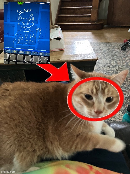 chat, this image of my cat Oscar’s looks kinda familiar | made w/ Imgflip meme maker