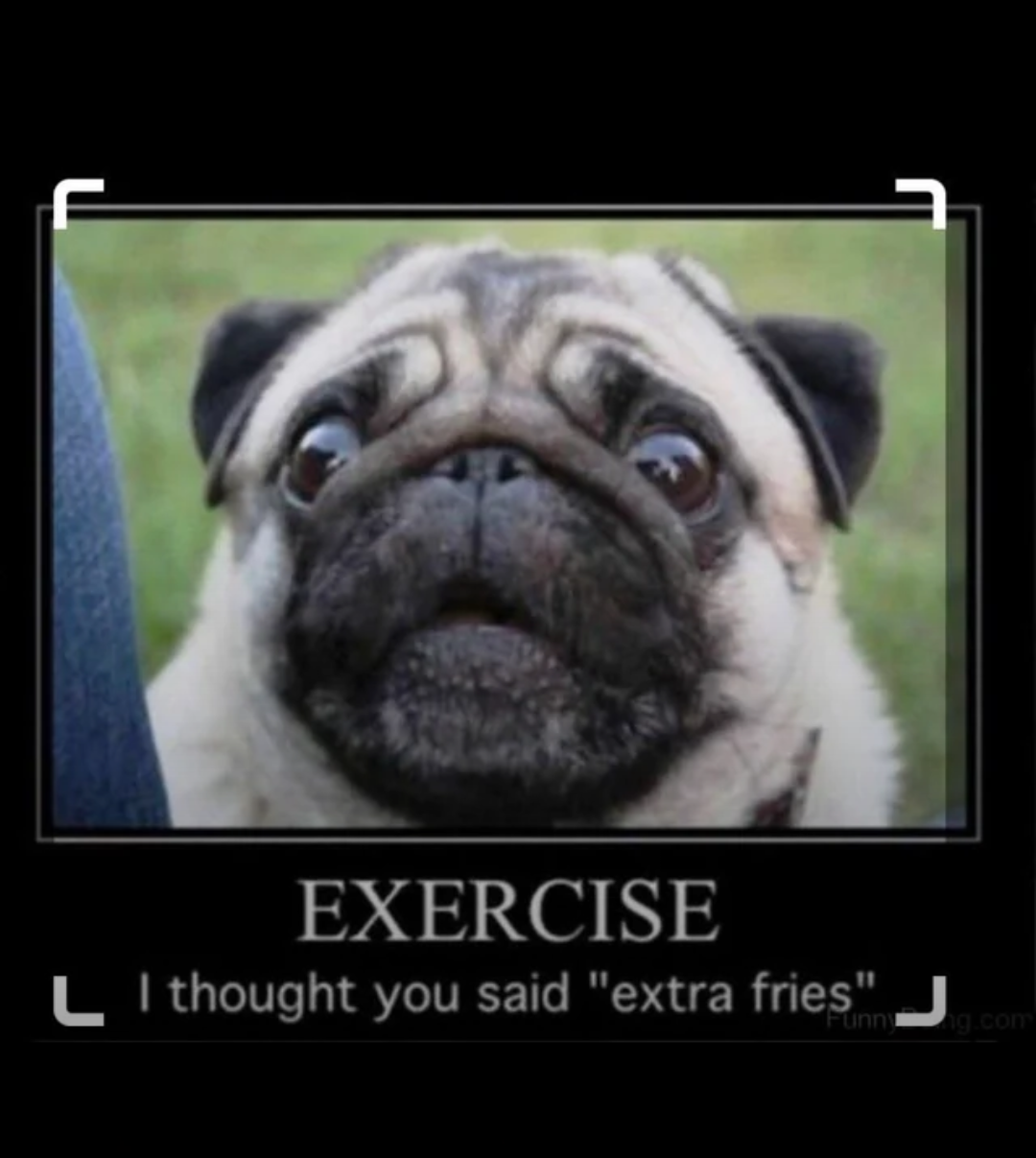 Dumb fat pug Blank Meme Template
