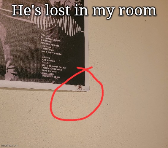 He's lost in my room | made w/ Imgflip meme maker