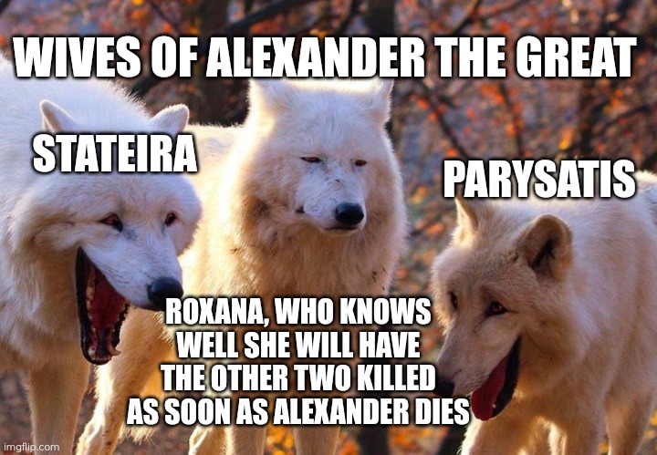 Wives of Alexander the Great | WIVES OF ALEXANDER THE GREAT; PARYSATIS; STATEIRA; ROXANA, WHO KNOWS WELL SHE WILL HAVE THE OTHER TWO KILLED AS SOON AS ALEXANDER DIES | image tagged in 2/3 wolves laugh,alexander the great,memes,polygamy,history,multiple wives | made w/ Imgflip meme maker