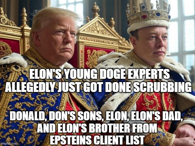 Donald Trump and Elon Musk as Kings on thrones | ELON'S YOUNG DOGE EXPERTS
ALLEGEDLY JUST GOT DONE SCRUBBING; DONALD, DON'S SONS, ELON, ELON'S DAD, 
AND ELON'S BROTHER FROM
EPSTEINS CLIENT LIST | image tagged in donald trump and elon musk as kings on thrones | made w/ Imgflip meme maker