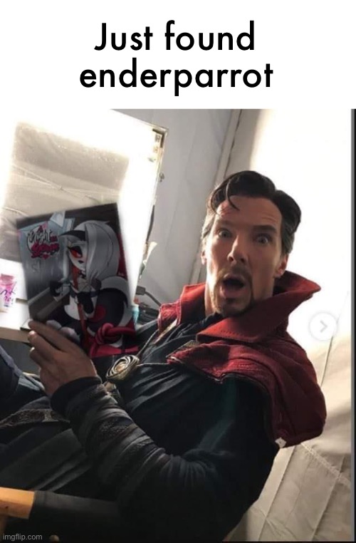 doctor strange holding a night with loona | Just found enderparrot | image tagged in doctor strange holding a night with loona | made w/ Imgflip meme maker