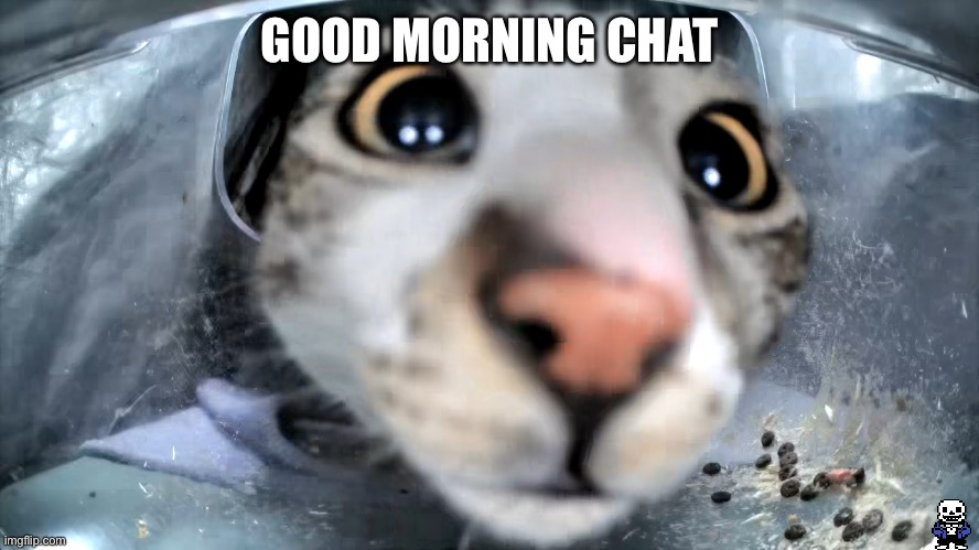 e | GOOD MORNING CHAT | image tagged in sans of topic in the bottom right corner | made w/ Imgflip meme maker
