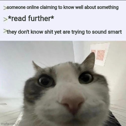 Cat looks inside | someone online claiming to know well about something; *read further*; they don't know shit yet are trying to sound smart | image tagged in cat looks inside | made w/ Imgflip meme maker