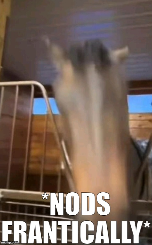 Horse of wisdom | *NODS FRANTICALLY* | image tagged in horse of wisdom | made w/ Imgflip meme maker