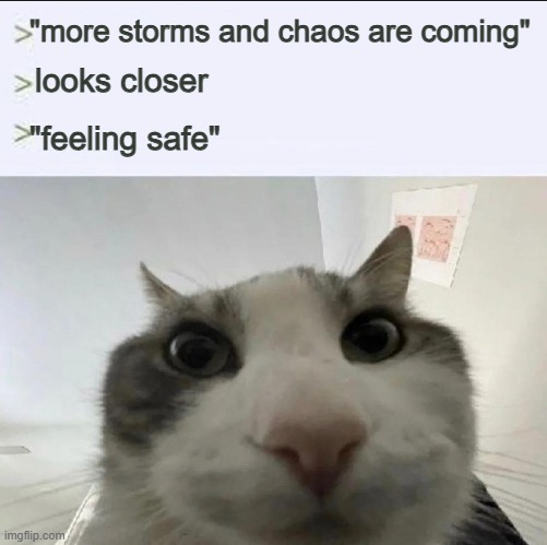 Cat looks inside | "more storms and chaos are coming" looks closer "feeling safe" | image tagged in cat looks inside | made w/ Imgflip meme maker