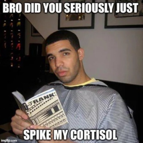 bro did you seriously just spike my cortisol | image tagged in bro did you seriously just spike my cortisol | made w/ Imgflip meme maker