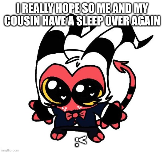 I REALLY HOPE SO ME AND MY COUSIN HAVE A SLEEP OVER AGAIN; :< | made w/ Imgflip meme maker