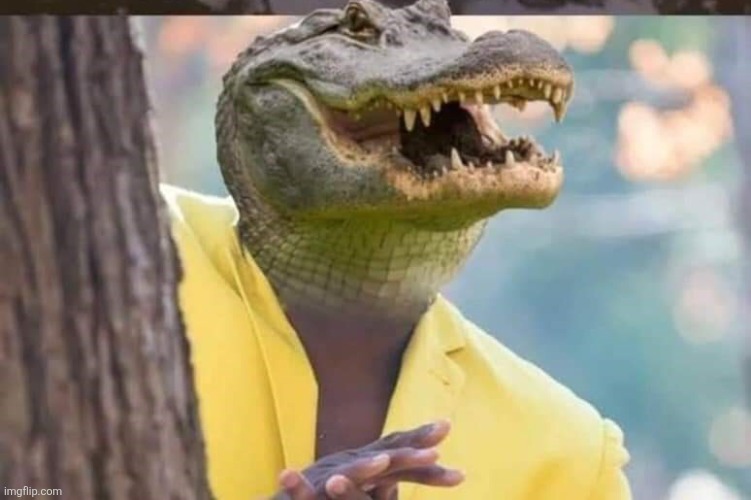 Crocodile waiting behind tree | image tagged in crocodile waiting behind tree | made w/ Imgflip meme maker