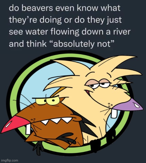 image tagged in two,angery,beavers,nickelodeon,damn,river | made w/ Imgflip meme maker