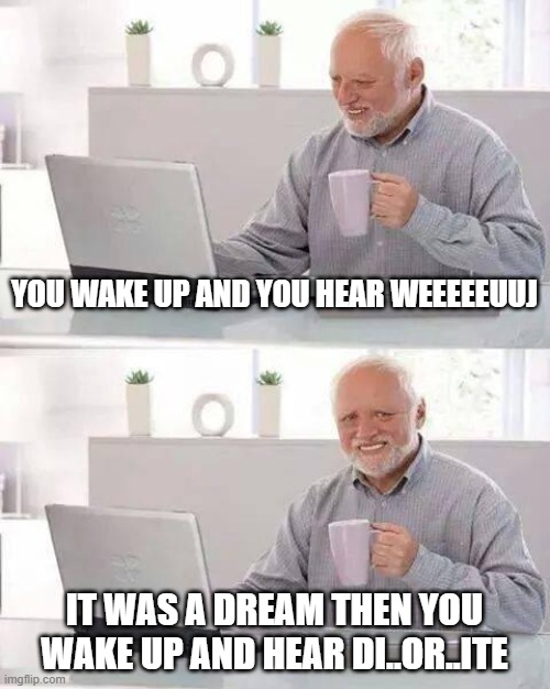 tu..es..day..s.. | YOU WAKE UP AND YOU HEAR WEEEEEUUJ; IT WAS A DREAM THEN YOU WAKE UP AND HEAR DI..OR..ITE | image tagged in memes,hide the pain harold | made w/ Imgflip meme maker