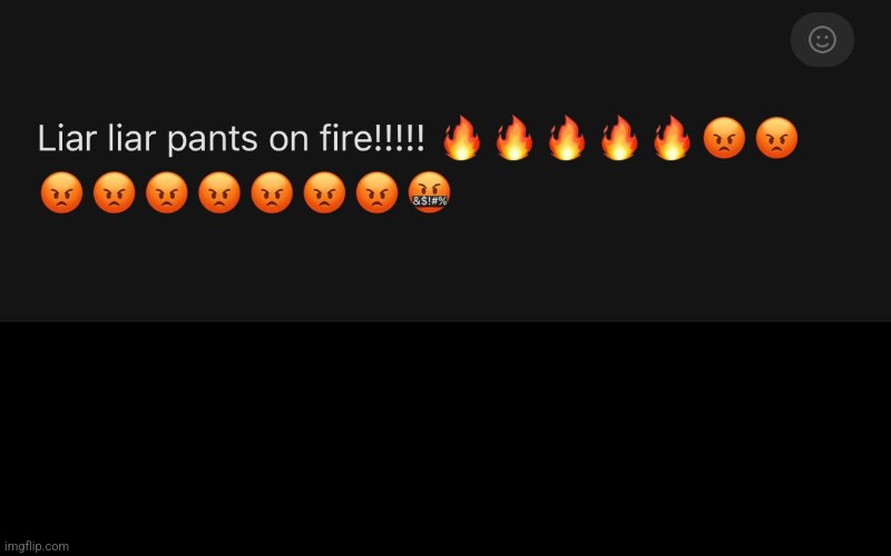 Liar liar panties on fire | image tagged in liar liar panties on fire | made w/ Imgflip meme maker