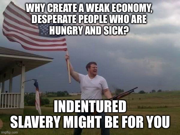 American flag shotgun guy | WHY CREATE A WEAK ECONOMY, 
DESPERATE PEOPLE WHO ARE 
HUNGRY AND SICK? INDENTURED SLAVERY MIGHT BE FOR YOU | image tagged in american flag shotgun guy | made w/ Imgflip meme maker