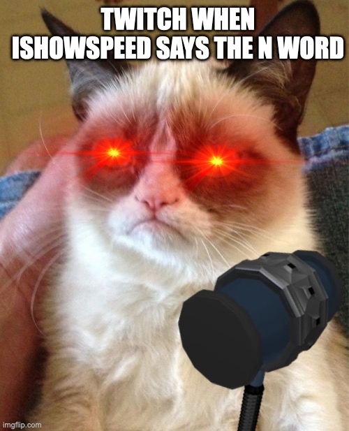 Grumpy Cat | TWITCH WHEN ISHOWSPEED SAYS THE N WORD | image tagged in memes,grumpy cat | made w/ Imgflip meme maker