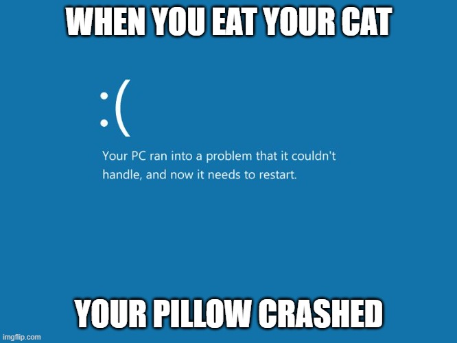 Windows Error | WHEN YOU EAT YOUR CAT; YOUR PILLOW CRASHED | image tagged in windows error,crash | made w/ Imgflip meme maker
