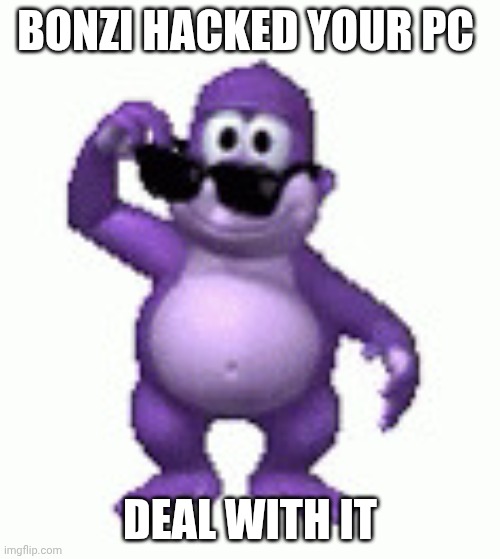 Deal with it lol | BONZI HACKED YOUR PC; DEAL WITH IT | image tagged in deal with it,funny,windows xp,2000s | made w/ Imgflip meme maker