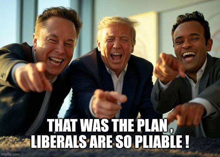 Donald Trump, Elon Musk, Vivek Ramaswamy laughing oligarchy | THAT WAS THE PLAN , LIBERALS ARE SO PLIABLE ! | image tagged in donald trump elon musk vivek ramaswamy laughing oligarchy | made w/ Imgflip meme maker
