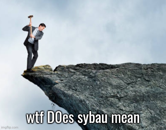 man breaking cliff | wtf D0es sybau mean | image tagged in man breaking cliff | made w/ Imgflip meme maker