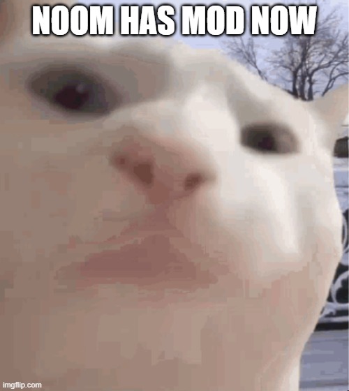 (Noom note: the first) | NOOM HAS MOD NOW | image tagged in i showed you my,sans of topic | made w/ Imgflip meme maker