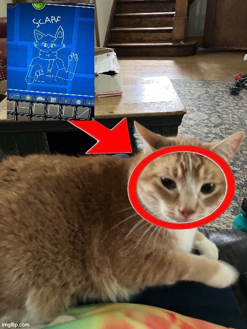 Chat, this picture of my cat Oscar looks kinda familiar | made w/ Imgflip meme maker