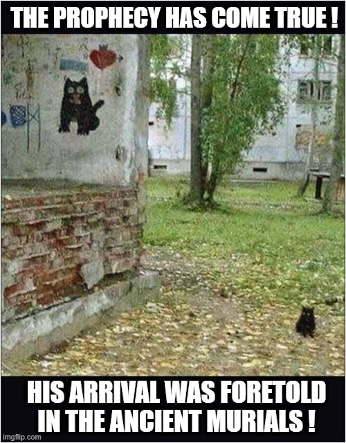 A Mystical Moggy ! | THE PROPHECY HAS COME TRUE ! HIS ARRIVAL WAS FORETOLD IN THE ANCIENT MURIALS ! | image tagged in cats,mystical,prophecy | made w/ Imgflip meme maker