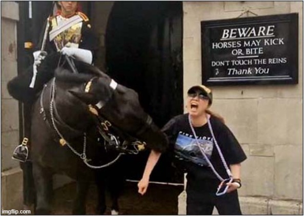 Read The Sign ! | image tagged in horseguards,tourist,bitten,sign,dark humour | made w/ Imgflip meme maker