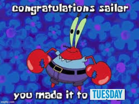 Congratulations sailer | image tagged in congratulations sailer | made w/ Imgflip meme maker