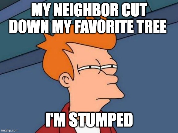 Futurama Fry | MY NEIGHBOR CUT DOWN MY FAVORITE TREE; I'M STUMPED | image tagged in memes,futurama fry | made w/ Imgflip meme maker