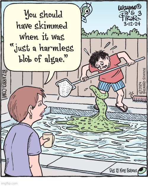 Bizarro Comics | image tagged in comics,bizarro comics,cleaning pool,algae | made w/ Imgflip meme maker